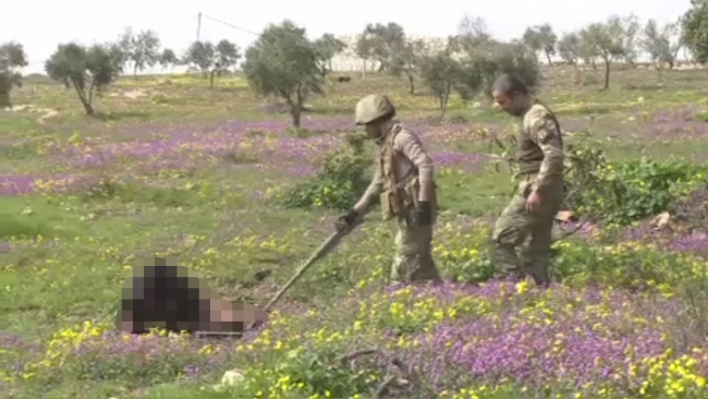 Terör örgütü YPG/PKK mayınına basan köylü hayatını kaybetti